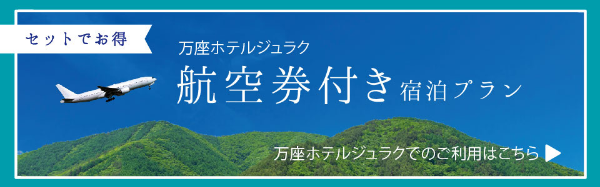 航空券付き宿泊プラン