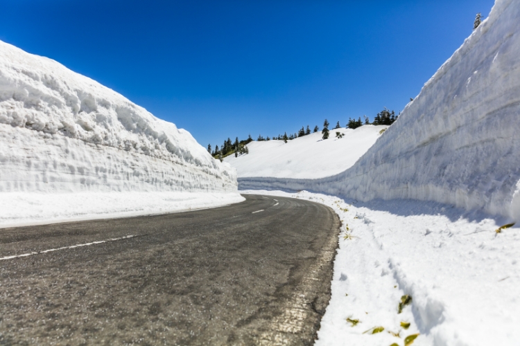 雪の回廊