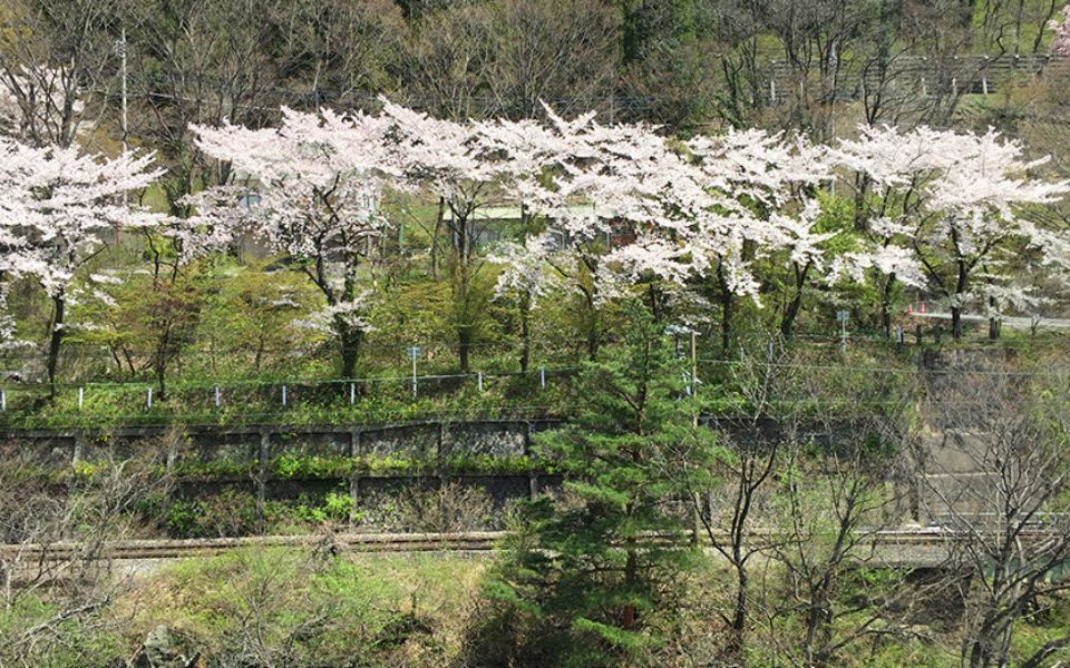 利根川の清流に臨む客室 写真4