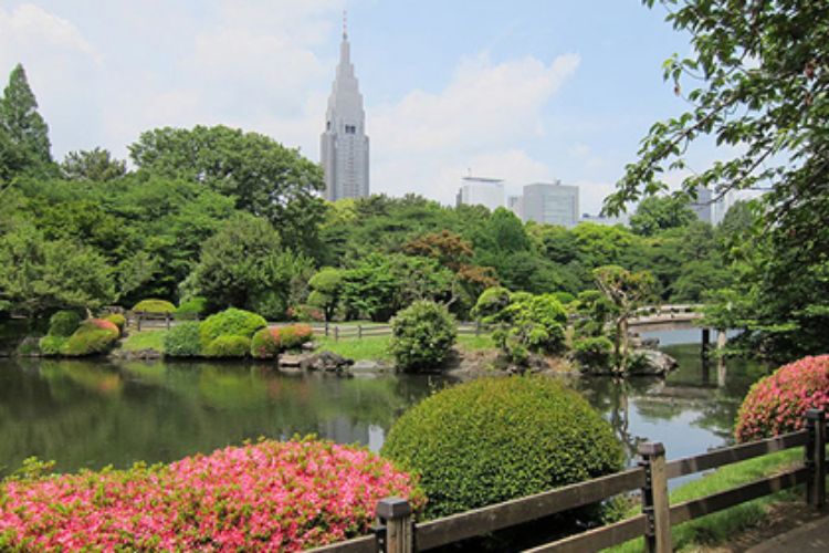 新宿御苑